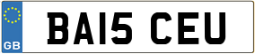 Trailer License Plate